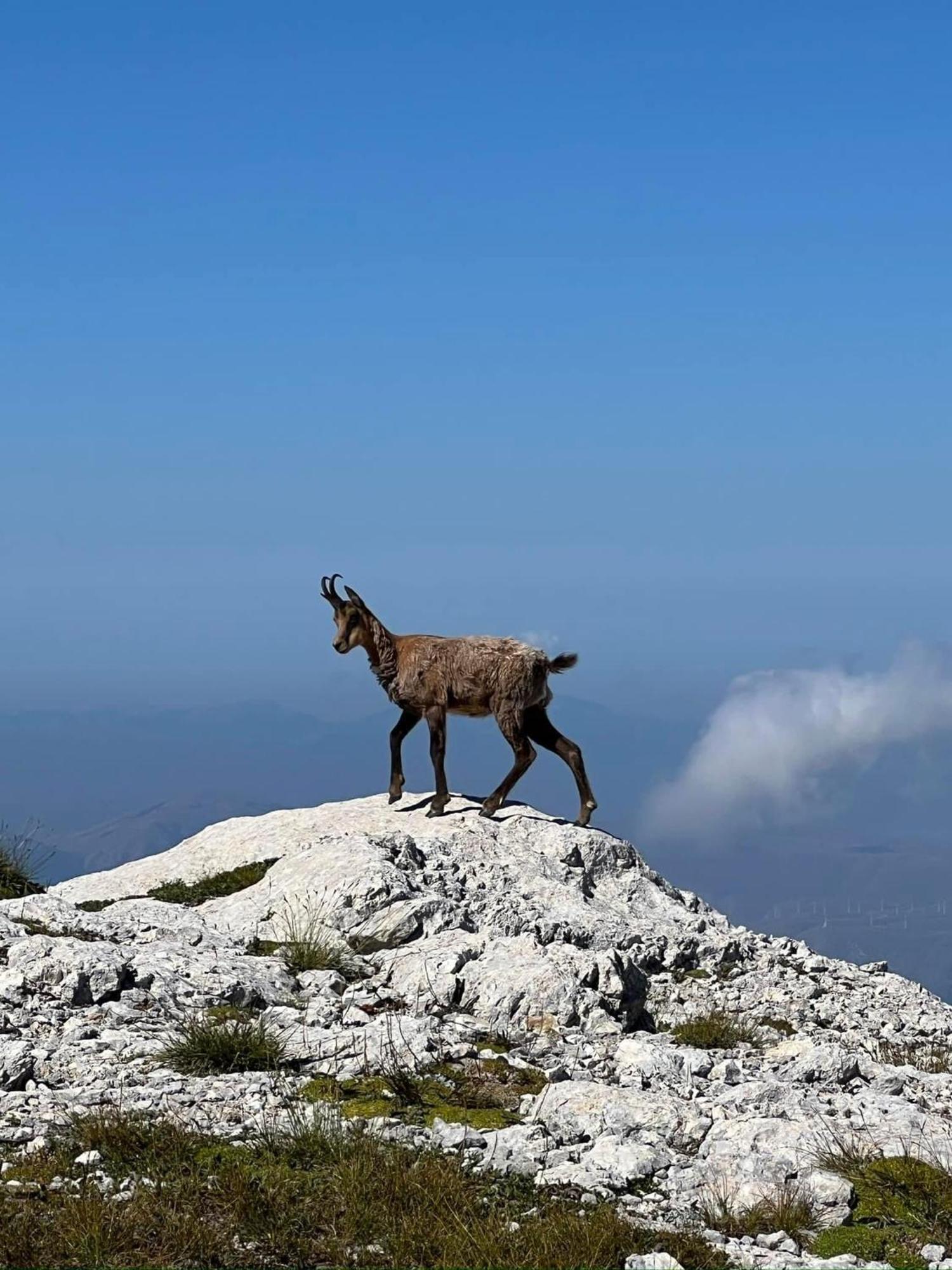 La Transiberiana Pettorano sul Gizio